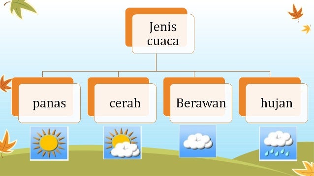 Ipa cuaca