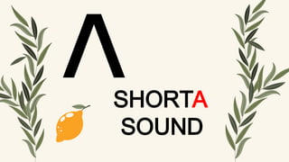 SHORTA
SOUND
 