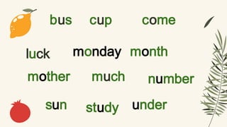 bus
luck monday
cup come
month
mother much number
sun study under
 