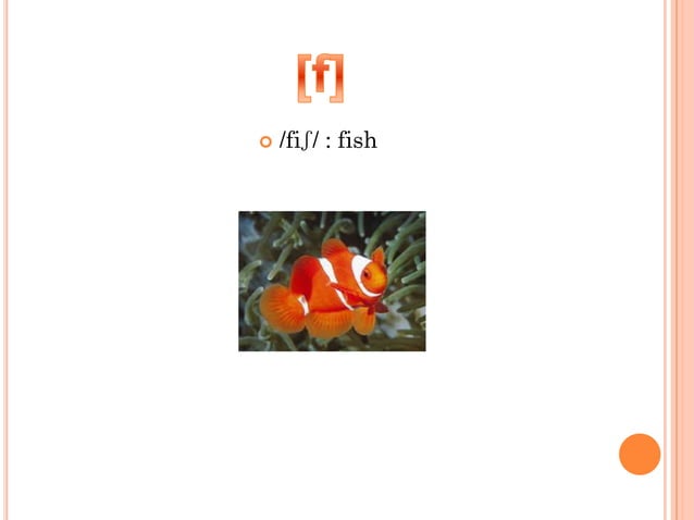 LIST OF IPA CONSONANTS visual data 6