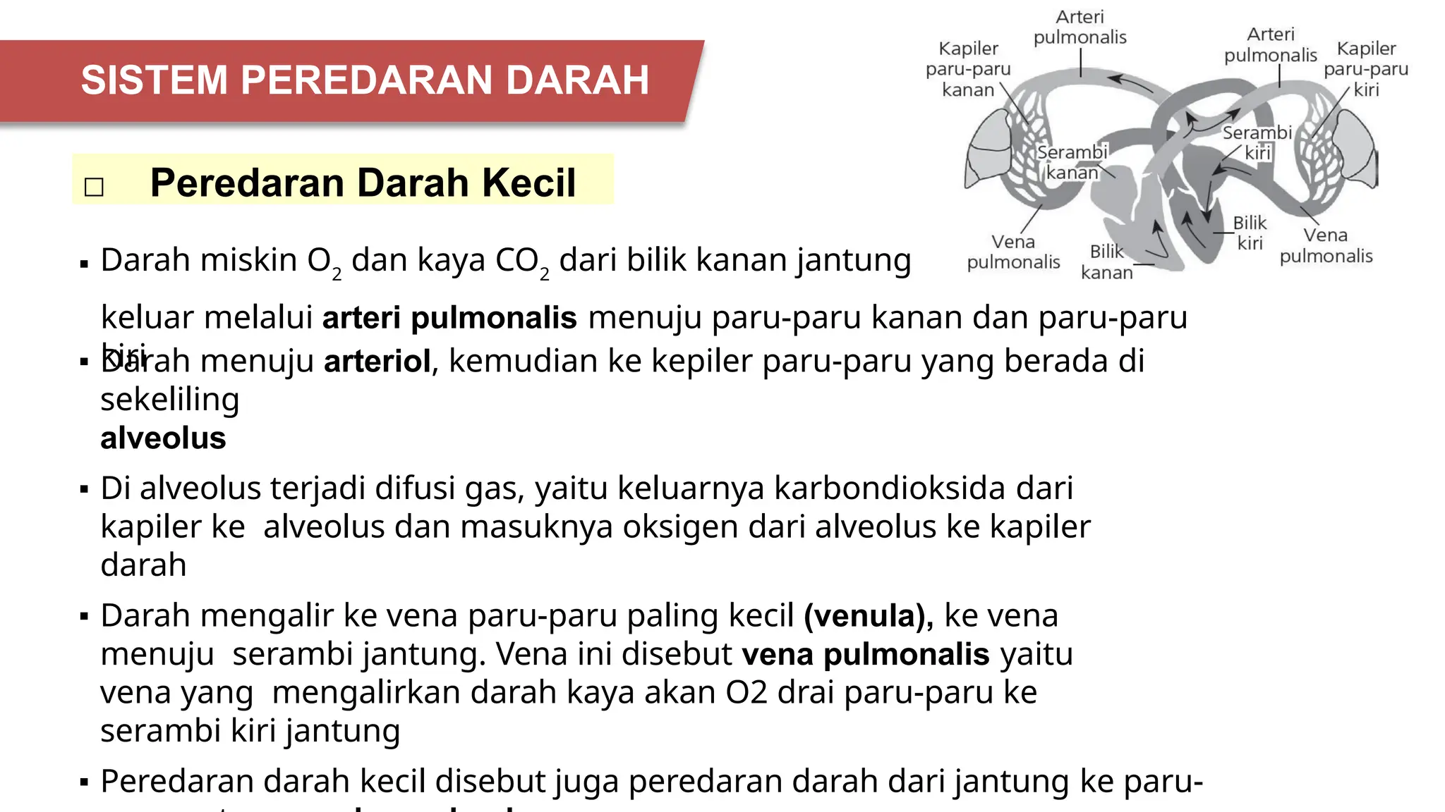 IPA-MATERI-STRUKTUR-DAN-FUNGSI-TUBUH-MANUSIASMP.pptx