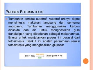 PROSES FOTOSINTESIS


Tumbuhan bersifat autotrof. Autotrof artinya dapat
mensintesis makanan langsung dari senyawa
anorganik. Tumbuhan menggunakan karbon
dioksida dan air untuk menghasilkan gula
danoksigen yang diperlukan sebagai makanannya.
Energi untuk menjalankan proses ini berasal dari
fotosintesis. Berikut ini adalah persamaan reaksi
fotosintesis yang menghasilkan glukosa:

 
