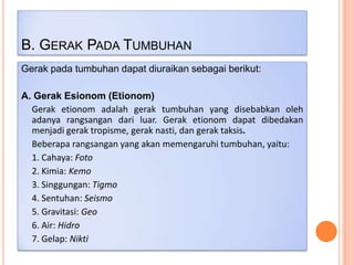 B. GERAK PADA TUMBUHAN
Gerak pada tumbuhan dapat diuraikan sebagai berikut:

A. Gerak Esionom (Etionom)
Gerak etionom adalah gerak tumbuhan yang disebabkan oleh
adanya rangsangan dari luar. Gerak etionom dapat dibedakan
menjadi gerak tropisme, gerak nasti, dan gerak taksis.
Beberapa rangsangan yang akan memengaruhi tumbuhan, yaitu:
1. Cahaya: Foto
2. Kimia: Kemo
3. Singgungan: Tigmo
4. Sentuhan: Seismo
5. Gravitasi: Geo
6. Air: Hidro
7. Gelap: Nikti

 