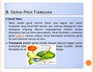 B. GERAK PADA TUMBUHAN
3. Gerak Taksis
Taksis adalah gerak seluruh tubuh atau bagian dari tubuh
tumbuhan yang berpindah tempat dan arahnya dipengaruhi oleh
datangnya rangsang. Macam rangsangannya meliputi cahaya
(fototaksis) dan zat kimia (kemotaksis). Gerak fototaksis, contohnya
gerak Euglena menuju cahaya. Gerak kemotaksis contohnya gerak
sel spermatozoid menuju sel telur.
a. Fototaksis adalah gerak pindah tempat seluruh bagian tubuh
tumbuhan karena pengaruh rangsang cahaya. Contoh : Gerak
kloroplas ke sisi sel yang memperoleh cahaya.

 