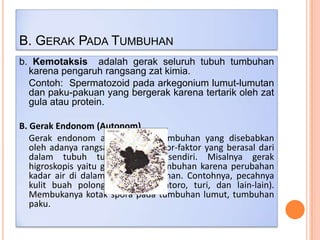 B. GERAK PADA TUMBUHAN
b. Kemotaksis adalah gerak seluruh tubuh tumbuhan
karena pengaruh rangsang zat kimia.
Contoh: Spermatozoid pada arkegonium lumut-lumutan
dan paku-pakuan yang bergerak karena tertarik oleh zat
gula atau protein.
B. Gerak Endonom (Autonom)
Gerak endonom adalah gerak tumbuhan yang disebabkan
oleh adanya rangsangan atau faktor-faktor yang berasal dari
dalam tubuh tumbuhan itu sendiri. Misalnya gerak
higroskopis yaitu gerak bagian tumbuhan karena perubahan
kadar air di dalam bagian tumbuhan. Contohnya, pecahnya
kulit buah polong-polongan (lamtoro, turi, dan lain-lain).
Membukanya kotak spora pada tumbuhan lumut, tumbuhan
paku.

 