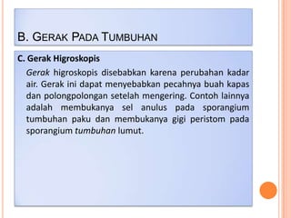 B. GERAK PADA TUMBUHAN
C. Gerak Higroskopis
Gerak higroskopis disebabkan karena perubahan kadar
air. Gerak ini dapat menyebabkan pecahnya buah kapas
dan polongpolongan setelah mengering. Contoh lainnya
adalah membukanya sel anulus pada sporangium
tumbuhan paku dan membukanya gigi peristom pada
sporangium tumbuhan lumut.

 