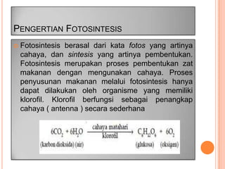 PENGERTIAN FOTOSINTESIS


Fotosintesis berasal dari kata fotos yang artinya
cahaya, dan sintesis yang artinya pembentukan.
Fotosintesis merupakan proses pembentukan zat
makanan dengan mengunakan cahaya. Proses
penyusunan makanan melalui fotosintesis hanya
dapat dilakukan oleh organisme yang memiliki
klorofil. Klorofil berfungsi sebagai penangkap
cahaya ( antenna ) secara sederhana

 