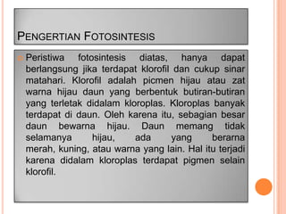PENGERTIAN FOTOSINTESIS


Peristiwa fotosintesis diatas, hanya dapat
berlangsung jika terdapat klorofil dan cukup sinar
matahari. Klorofil adalah picmen hijau atau zat
warna hijau daun yang berbentuk butiran-butiran
yang terletak didalam kloroplas. Kloroplas banyak
terdapat di daun. Oleh karena itu, sebagian besar
daun bewarna hijau. Daun memang tidak
selamanya
hijau,
ada
yang
berarna
merah, kuning, atau warna yang lain. Hal itu terjadi
karena didalam kloroplas terdapat pigmen selain
klorofil.

 