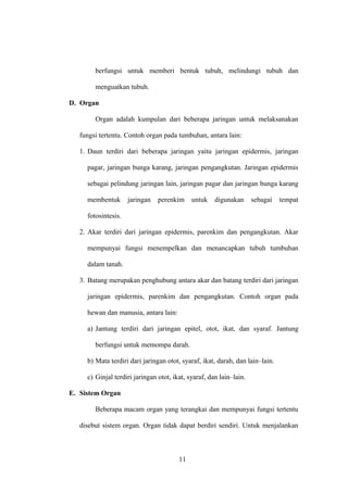 berfungsi untuk memberi bentuk tubuh, melindungi tubuh dan
menguatkan tubuh.
D. Organ
Organ adalah kumpulan dari beberapa jaringan untuk melaksanakan
fungsi tertentu. Contoh organ pada tumbuhan, antara lain:
1. Daun terdiri dari beberapa jaringan yaitu jaringan epidermis, jaringan
pagar, jaringan bunga karang, jaringan pengangkutan. Jaringan epidermis
sebagai pelindung jaringan lain, jaringan pagar dan jaringan bunga karang
membentuk

jaringan

perenkim

untuk

digunakan

sebagai

tempat

fotosintesis.
2. Akar terdiri dari jaringan epidermis, parenkim dan pengangkutan. Akar
mempunyai fungsi menempelkan dan menancapkan tubuh tumbuhan
dalam tanah.
3. Batang merupakan penghubung antara akar dan batang terdiri dari jaringan
jaringan epidermis, parenkim dan pengangkutan. Contoh organ pada
hewan dan manusia, antara lain:
a) Jantung terdiri dari jaringan epitel, otot, ikat, dan syaraf. Jantung
berfungsi untuk memompa darah.
b) Mata terdiri dari jaringan otot, syaraf, ikat, darah, dan lain–lain.
c) Ginjal terdiri jaringan otot, ikat, syaraf, dan lain–lain.
E. Sistem Organ
Beberapa macam organ yang terangkai dan mempunyai fungsi tertentu
disebut sistem organ. Organ tidak dapat berdiri sendiri. Untuk menjalankan

11

 