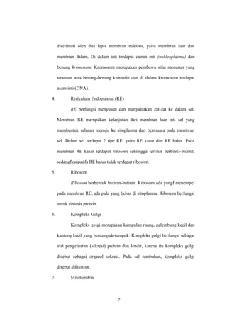 diselimuti oleh dua lapis membran nukleus, yaitu membran luar dan
membran dalam. Di dalam inti terdapat cairan inti (nukleoplasma) dan
benang kromosom. Kromosom merupakan pembawa sifat menurun yang
tersusun atas benang-benang kromatin dan di dalam kromosom terdapat
asam inti (DNA).
4.

Retikulum Endoplasma (RE)
RE berfungsi menyusun dan menyalurkan zat-zat ke dalam sel.
Membran RE merupakan kelanjutan dari membran luar inti sel yang
membentuk saluran menuju ke sitoplasma dan bermuara pada membran
sel. Dalam sel terdapat 2 tipe RE, yaitu RE kasar dan RE halus. Pada
membran RE kasar terdapat ribosom sehimgga terlihat berbintil-biontil,
sedangfkanpadfa RE halus tidak terdapat ribosom.

5.

Ribosom
Ribosom berbentuk butiran-butiran. Ribosom ada yangf menempel
pada membran RE, ada pula yang bebas di sitoplasma. Ribosom berfungsi
untuk sintesis protein.

6.

Kompleks Golgi
Kompleks golgi merupakan kumpulan ruang, gelembung kecil dan
kantong kecil yang bertumpuk-tumpuk. Kompleks golgi berfungsi sebagai
alat pengeluaran (sekresi) protein dan lendir, karena itu kompleks golgi
disebut sebagai organel sekresi. Pada sel tumbuhan, kompleks golgi
disebut diktiosom.

7.

Mitokondria

7

 