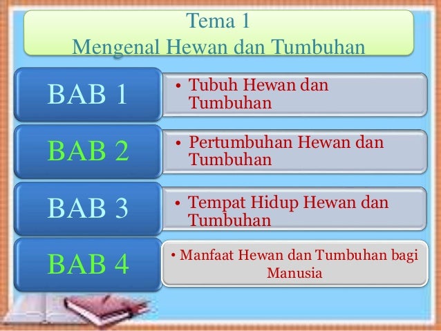 Image Result For Manfaat Sinar Matahari Bagi M Ia Hewan Dan Tumbuhan Image Result For Manfaat Sinar Matahari Bagi M Ia Hewan Dan Tumbuhan