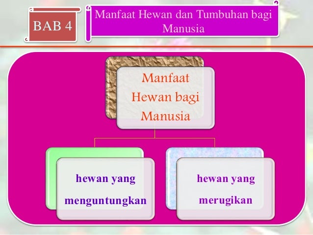 780 Koleksi Gambar Manfaat Hewan Dan Tumbuhan Bagi Manusia HD Terbaik