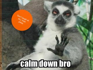 Don’t laugh at ALL their jokes 