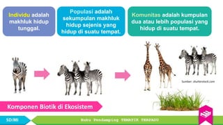 Contoh Individu IPA 5 EKOSISTEM.pptx