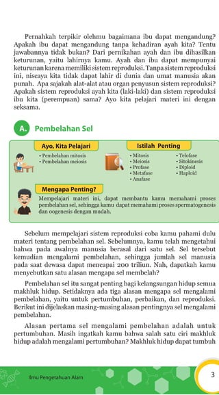 Apakah Kebersihan Alat Reproduksi Dapat Dijaga Dengan Memotong Kuku Jelaskan Ipa9 kd1-sistem reproduksi pada manusia