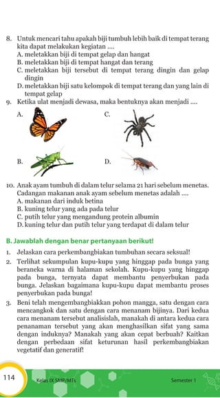 Beni Telah Mengembangbiakkan Pohon Mangga Satu Dengan Cara Ipa9 kd2-sistem perkembangbiakan tumbuhan dan hewan