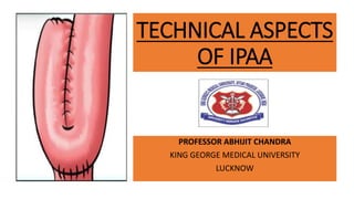 TECHNICAL ASPECTS
OF IPAA
PROFESSOR ABHIJIT CHANDRA
KING GEORGE MEDICAL UNIVERSITY
LUCKNOW
 