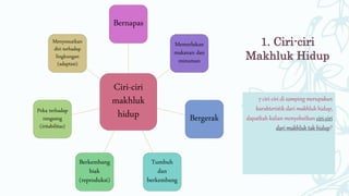1. Ciri-ciri
Makhluk Hidup
Ciri-ciri
makhluk
hidup
Bernapas
Memerlukan
makanan dan
minuman
Bergerak
Tumbuh
dan
berkembang
Berkembang
biak
(reproduksi)
Peka terhadap
rangsang
(iritabilitas)
Menyesuaikan
diri terhadap
lingkungan
(adaptasi)
7 ciri-ciri di samping merupakan
karakteristik dari makhluk hidup,
dapatkah kalian menyebutkan ciri-ciri
dari makhluk tak hidup?
 