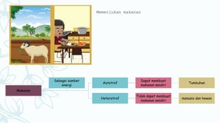 Memerlukan makanan
Makanan
Autotrof
Dapat membuat
makanan sendiri
Tumbuhan
Heterotrof
Tidak dapat membuat
makanan sendiri
manusia dan hewan
Sebagai sumber
energi
 
