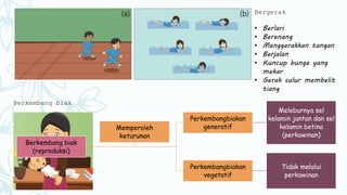 Bergerak
• Berlari
• Berenang
• Menggerakkan tangan
• Berjalan
• Kuncup bunga yang
mekar
• Gerak sulur membelit
tiang
Berkembang biak
Berkembang biak
(reproduksi)
Perkembangbiakan
generatif
Meleburnya sel
kelamin jantan dan sel
kelamin betina
(perkawinan)
Perkembangbiakan
vegetatif
Tidak melalui
perkawinan
Memperoleh
keturunan
 