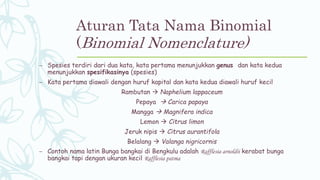 Aturan Tata Nama Binomial
(Binomial Nomenclature)
– Spesies terdiri dari dua kata, kata pertama menunjukkan genus dan kata kedua
menunjukkan spesifikasinya (spesies)
– Kata pertama diawali dengan huruf kapital dan kata kedua diawali huruf kecil
Rambutan  Naphelium lappaceum
Pepaya  Carica papaya
Mangga  Magnifera indica
Lemon  Citrus limon
Jeruk nipis  Citrus aurantifola
Belalang  Valanga nigricornis
– Contoh nama latin Bunga bangkai di Bengkulu adalah Rafflesia arnoldii kerabat bunga
bangkai tapi dengan ukuran kecil Rafflesia patma
 