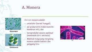 A. Monera
Ciri-ciri monera adalah
– uniseluler (bersel tunggal),
– sel prokariotik (tidak memiliki
membran inti), dan
– bereproduksi secara aseksual
(membelah diri/ amitosis)
– Makhluk hidup yang tergolong
monera adalah bakteri dan
ganggang biru
 
