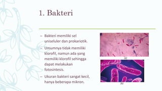 1. Bakteri
– Bakteri memiliki sel
uniseluler dan prokariotik.
– Umumnya tidak memiliki
klorofil, namun ada yang
memiliki klorofil sehingga
dapat melakukan
fotosintesis.
– Ukuran bakteri sangat kecil,
hanya beberapa mikron.
 