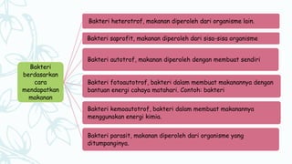 Bakteri
berdasarkan
cara
mendapatkan
makanan
Bakteri heterotrof, makanan diperoleh dari organisme lain.
Bakteri saprofit, makanan diperoleh dari sisa-sisa organisme
Bakteri autotrof, makanan diperoleh dengan membuat sendiri
Bakteri fotoautotrof, bakteri dalam membuat makanannya dengan
bantuan energi cahaya matahari. Contoh: bakteri
Bakteri kemoautotrof, bakteri dalam membuat makanannya
menggunakan energi kimia.
Bakteri parasit, makanan diperoleh dari organisme yang
ditumpanginya.
 