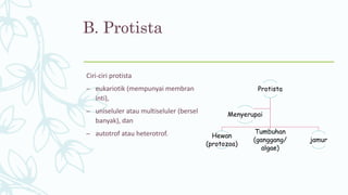 B. Protista
Ciri-ciri protista
– eukariotik (mempunyai membran
inti),
– uniseluler atau multiseluler (bersel
banyak), dan
– autotrof atau heterotrof.
Protista
Hewan
(protozoa)
Tumbuhan
(ganggang/
algae)
jamur
Menyerupai
 