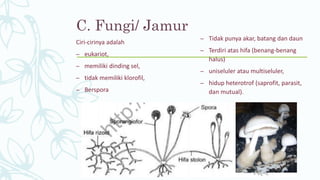 C. Fungi/ Jamur
Ciri-cirinya adalah
– eukariot,
– memiliki dinding sel,
– tidak memiliki klorofil,
– Berspora
– Tidak punya akar, batang dan daun
– Terdiri atas hifa (benang-benang
halus)
– uniseluler atau multiseluler,
– hidup heterotrof (saprofit, parasit,
dan mutual).
 