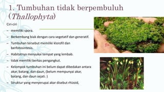 1. Tumbuhan tidak berpembuluh
(Thallophyta)
Ciri-ciri
– memiliki spora.
– Berkembang biak dengan cara vegetatif dan generatif.
– Tumbuhan tersebut memiliki klorofil dan
berfotosintesis.
– Habitatnya menyukai tempat yang lembab.
– tidak memiliki berkas pengangkut.
– Kelompok tumbuhan ini belum dapat dibedakan antara
akar, batang, dan daun, (belum mempunyai akar,
batang, dan daun sejati. )
– Struktur yang menyerupai akar disebut rhizoid,
 
