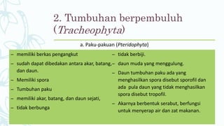 2. Tumbuhan berpembuluh
(Tracheophyta)
a. Paku-pakuan (Pteridophyta)
– memiliki berkas pengangkut
– sudah dapat dibedakan antara akar, batang,
dan daun.
– Memiliki spora
– Tumbuhan paku
– memiliki akar, batang, dan daun sejati,
– tidak berbunga
– tidak berbiji.
– daun muda yang menggulung.
– Daun tumbuhan paku ada yang
menghasilkan spora disebut sporofil dan
ada pula daun yang tidak menghasilkan
spora disebut tropofil.
– Akarnya berbentuk serabut, berfungsi
untuk menyerap air dan zat makanan.
 