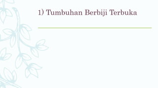 1) Tumbuhan Berbiji Terbuka
 