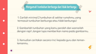 Mengamati tumbuhan berbunga dantidak berbunga
1. Carilah minimal 2 tumbuhan di sekitar rumahmu, yang
termasuk tumbuhan berbunga atau tidak berbunga.!
2. Gambarlah tumbuhan yang kamu peroleh dan warnailah
dengan rapi! Jangan lupa memberikan nama pada gambarmu.
3. Kemudian ceritakan secara rinci kepada guru dan teman-
temanmu.
 