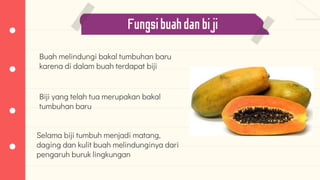 Fungsibuahdanbiji
Buah melindungi bakal tumbuhan baru
karena di dalam buah terdapat biji
Selama biji tumbuh menjadi matang,
daging dan kulit buah melindunginya dari
pengaruh buruk lingkungan
Biji yang telah tua merupakan bakal
tumbuhan baru
 