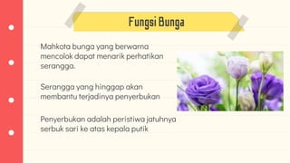 FungsiBunga
Mahkota bunga yang berwarna
mencolok dapat menarik perhatikan
serangga.
Serangga yang hinggap akan
membantu terjadinya penyerbukan
Penyerbukan adalah peristiwa jatuhnya
serbuk sari ke atas kepala putik
 