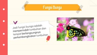 FungsiBunga
 