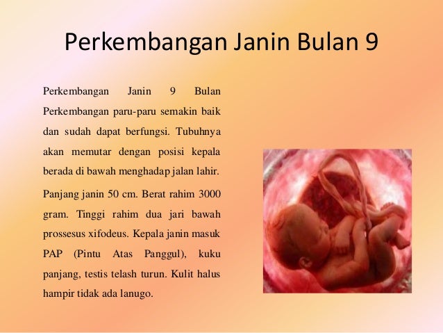 Kata Kata Mutiara Untuk Bayi Dalam Kandungan Sepotong Kata Kata Mutiara Untuk Bayi Dalam Kandungan Sepotong