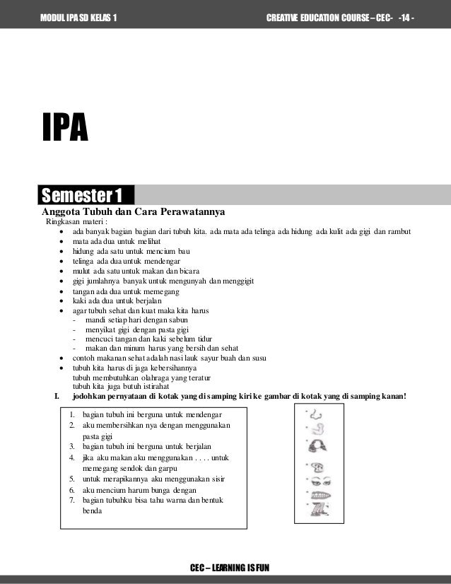 Contoh Modul Cec Ipa 1 Sd