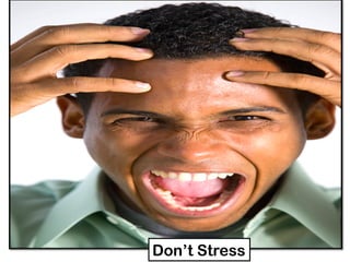 Don’t Stress
 