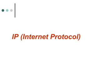IP (Internet Protocol) 
