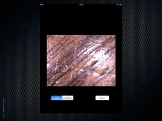 2012 - Sébastien Stasse
 