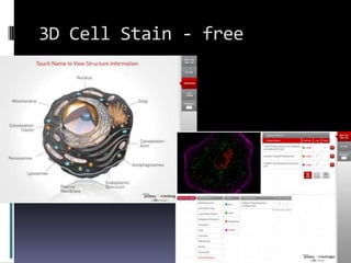 3D Cell Stain - free