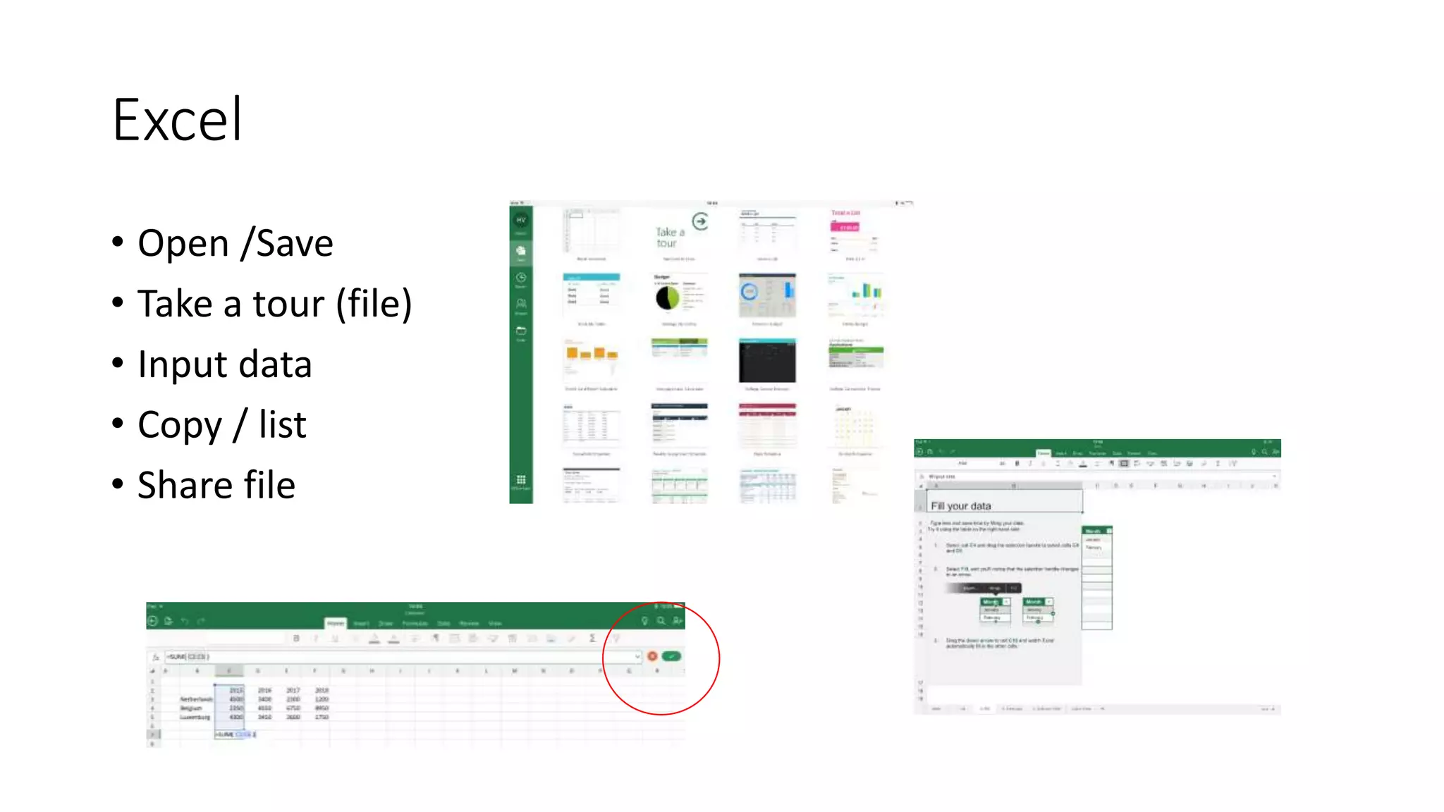 Excel
• Open /Save
• Take a tour (file)
• Input data
• Copy / list
• Share file
 