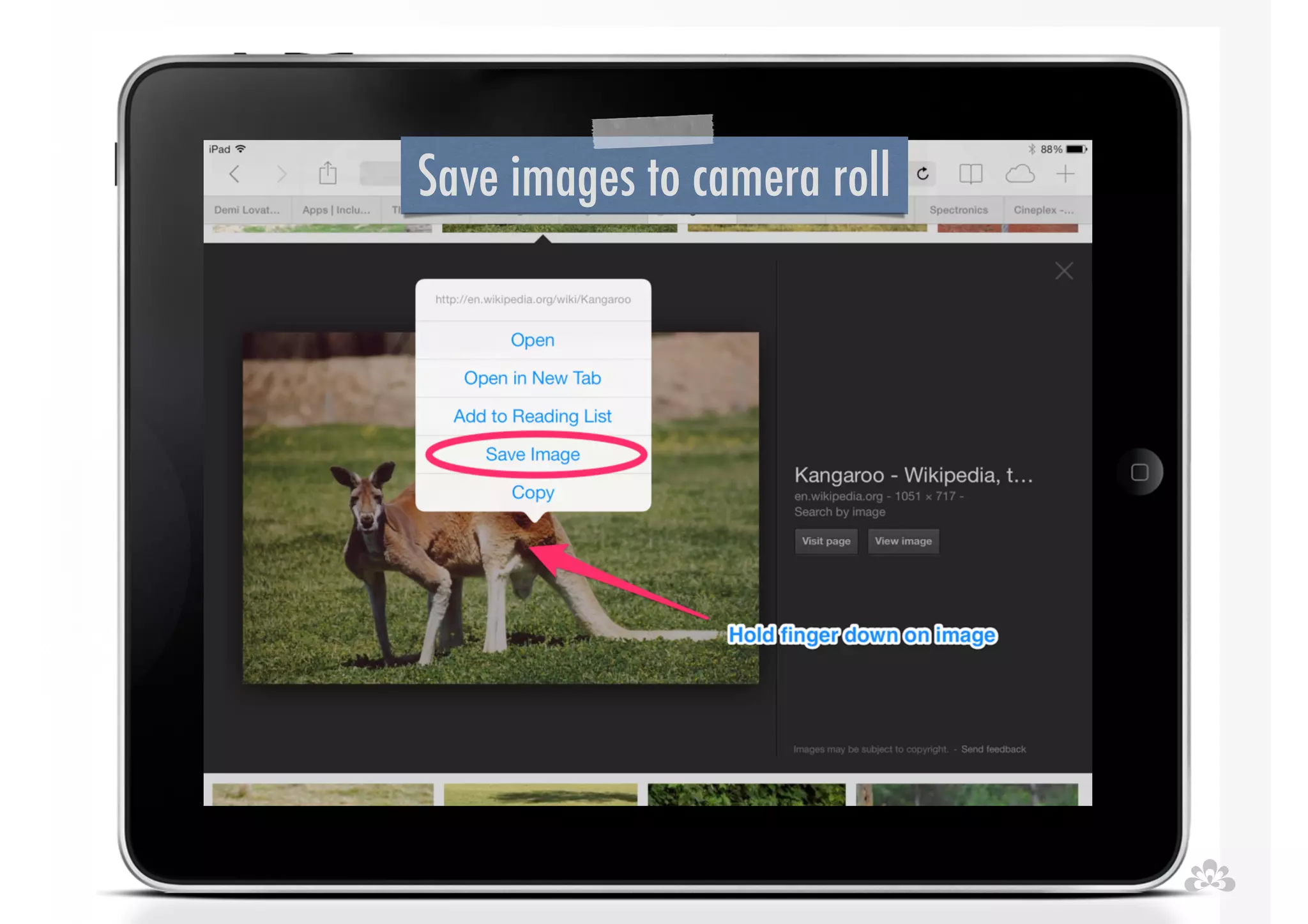 Save images to camera roll 
 