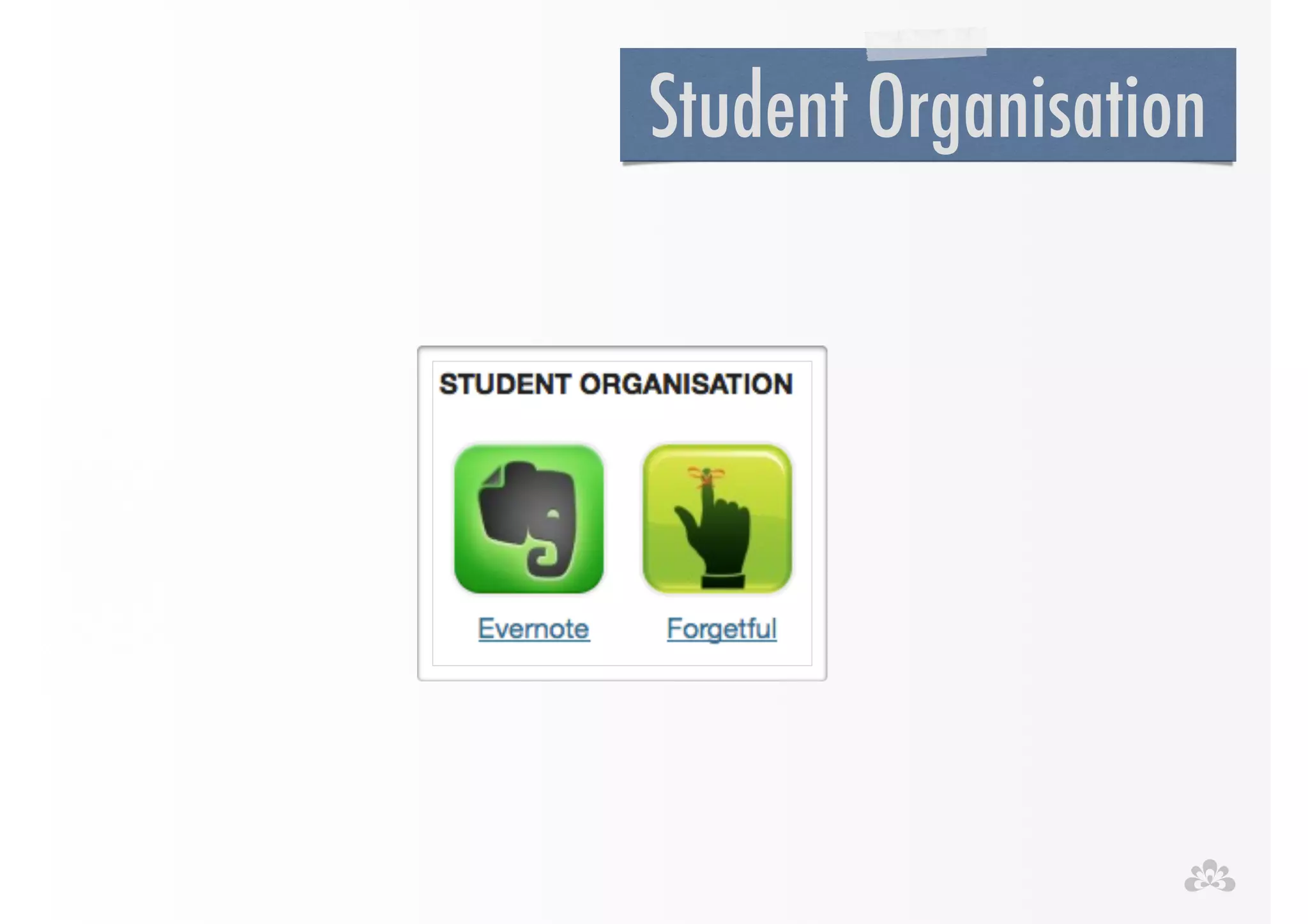 Student Organisation 
 