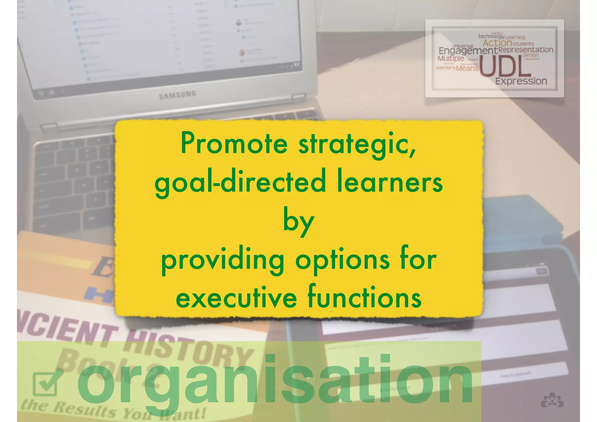 Promote strategic, 
goal-directed learners 
by 
providing options for 
executive functions 
organisation 
 