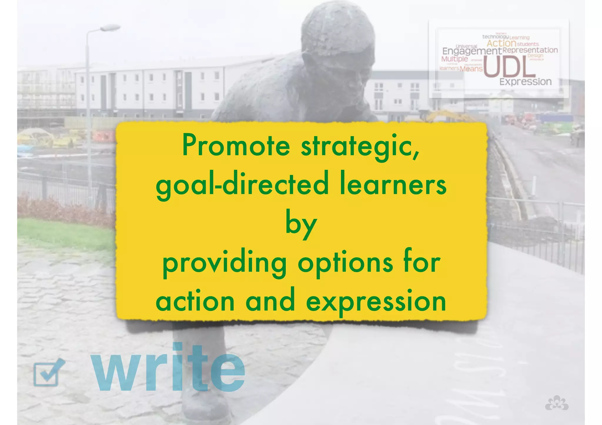 Promote strategic, 
goal-directed learners 
write 
by 
providing options for 
action and expression 
 