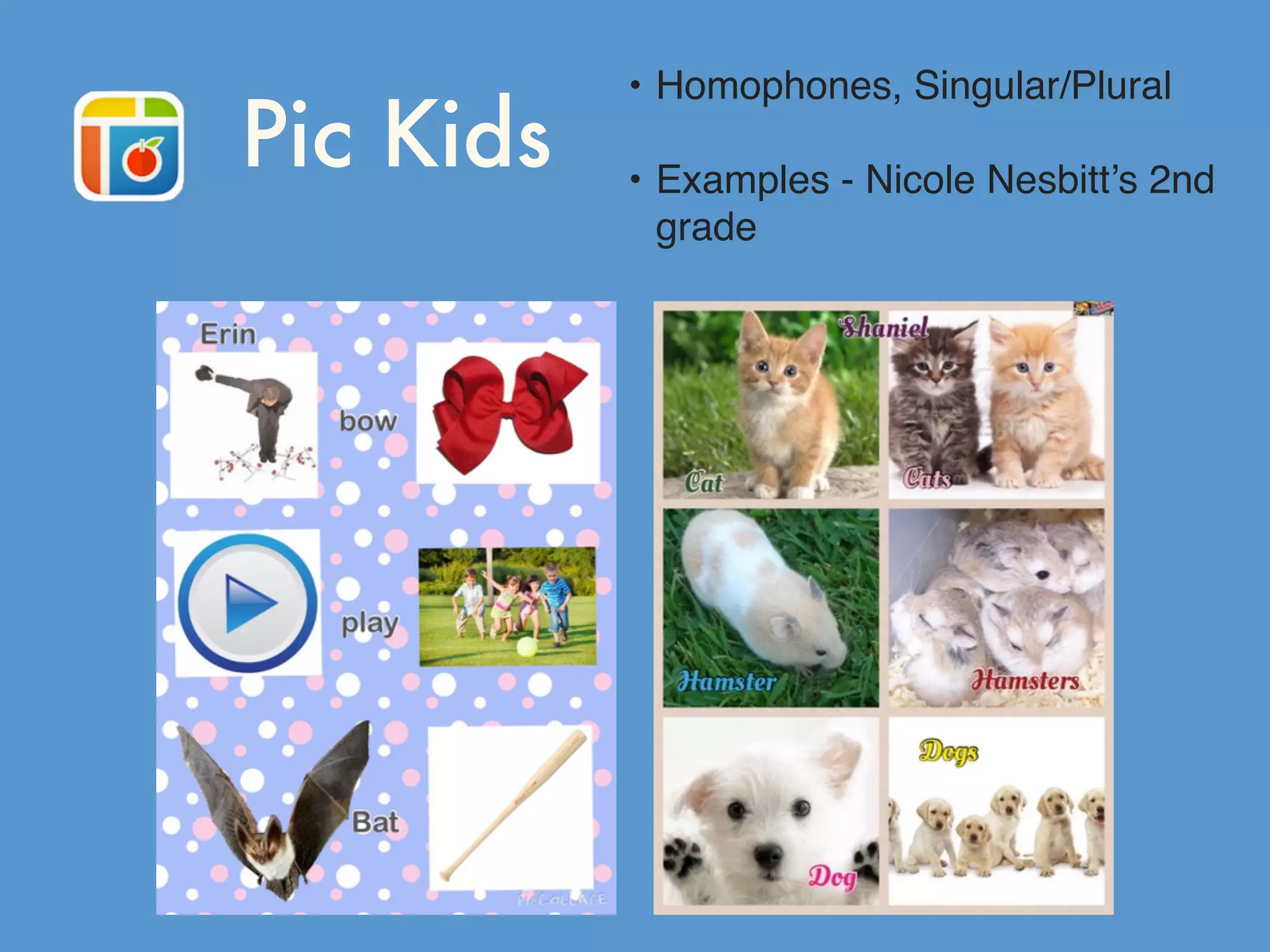 Pic Kids
• Homophones, Singular/Plural
• Examples - Nicole Nesbitt’s 2nd
grade
 