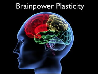 Brainpower Plasticity
 
